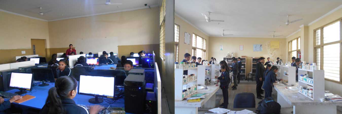 Trade Zone